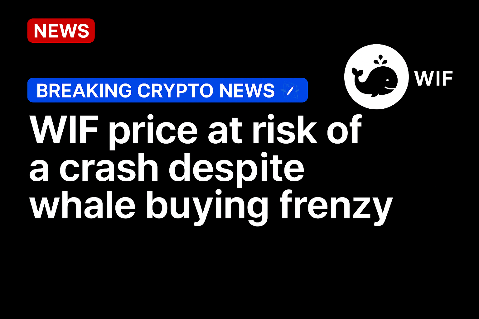 WIF price at risk of a crash despite whale buying frenzy