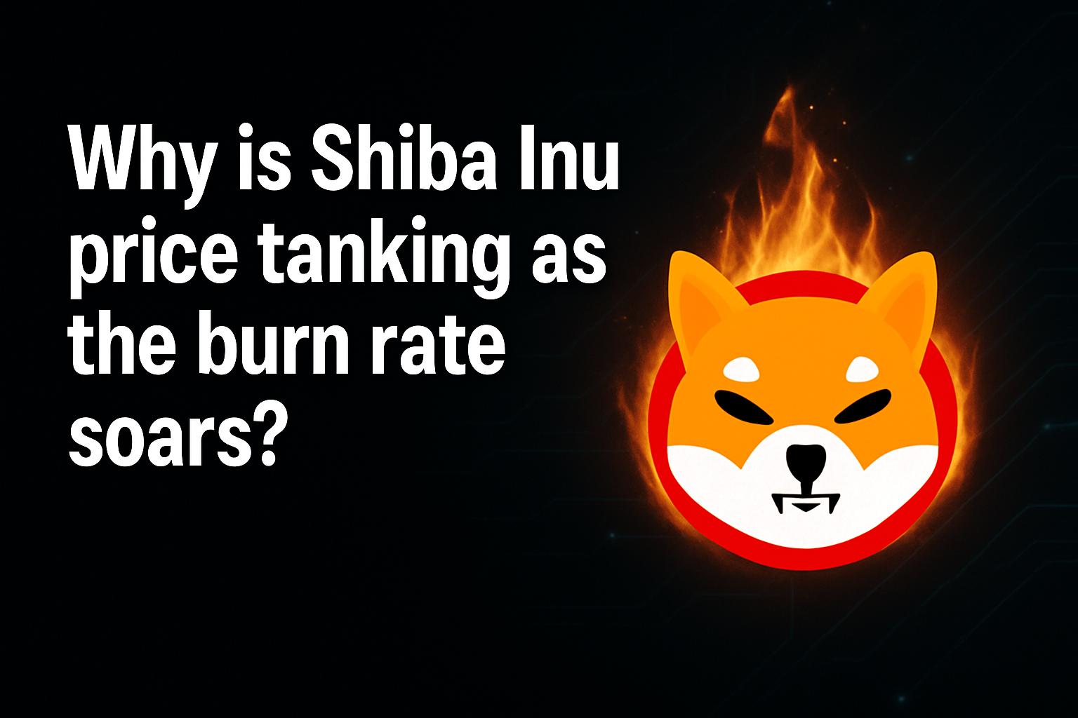 Why is Shiba Inu price tanking as the burn rate soars?